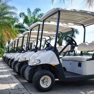 Golf Carts